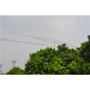 Ҽҹ ͇ܼgP΢304r(nng)I(y)Țxˮܲ